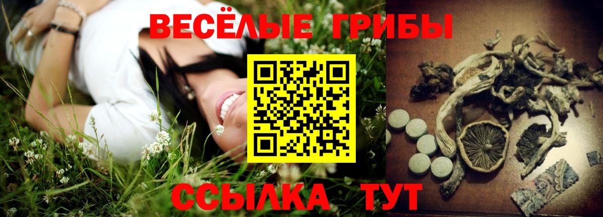 Бердск  Псилоцибиновые грибы Psilocybe  Галлюциногенные грибы GOLDEN TEACHER  Вход с VPN 